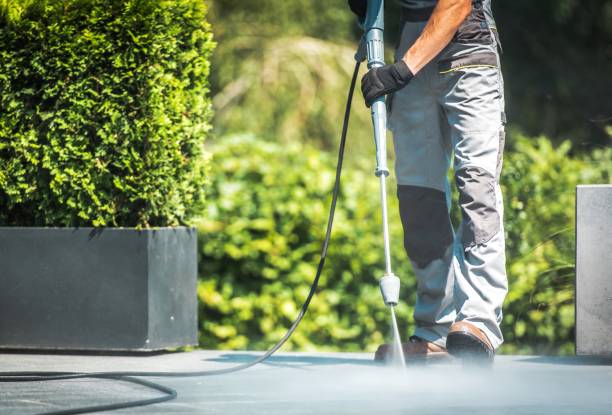 Best Patio and Deck Pressure Washing  in Friona, TX
