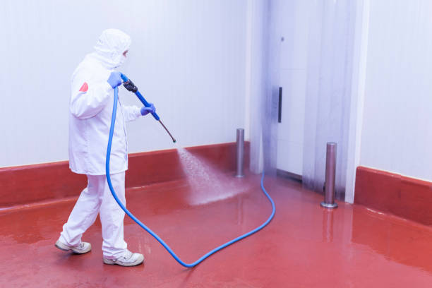 Reliable Friona, TX Pressure Washing Services Solutions
