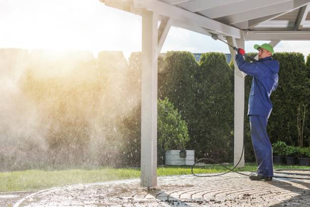 Best Dumpster Area Cleaning  in Friona, TX